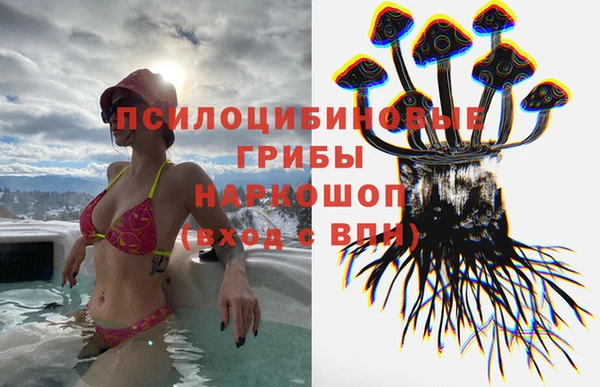 МДПВ Михайловск