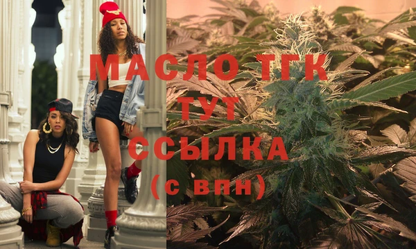 соль ск Михайлов
